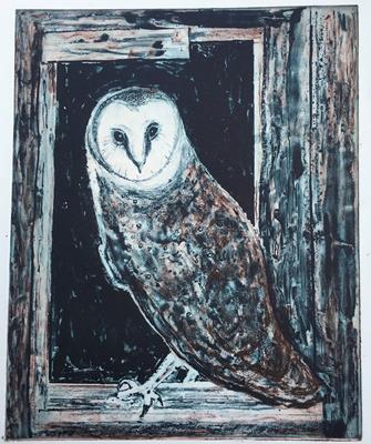 Barn Owl by Maurice Moeri